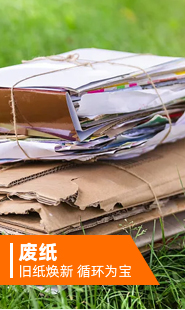 废纸